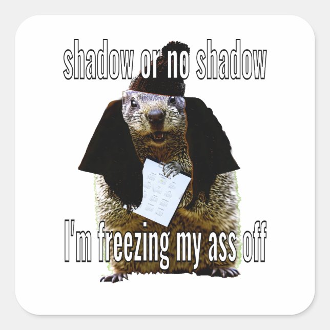 cold groundhog square sticker (Front)