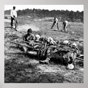 Cold Harbor Casualties: 1865 Poster