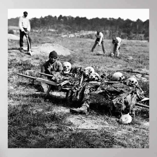 Cold Harbor Casualties: 1865 Poster (Front)