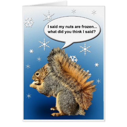 COLD SQUIRREL CARDS (Front)