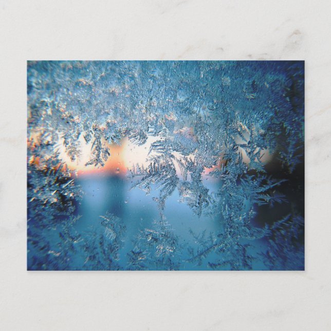 Cold Winter Frosted Glass Ice Crystals Postcard (Front)