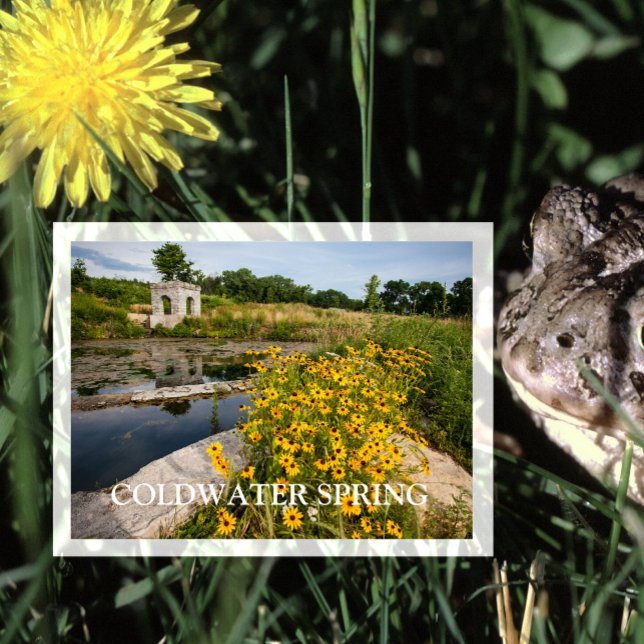 Coldwater Spring Park, Mississippi National River  Postcard (Creator Uploaded)