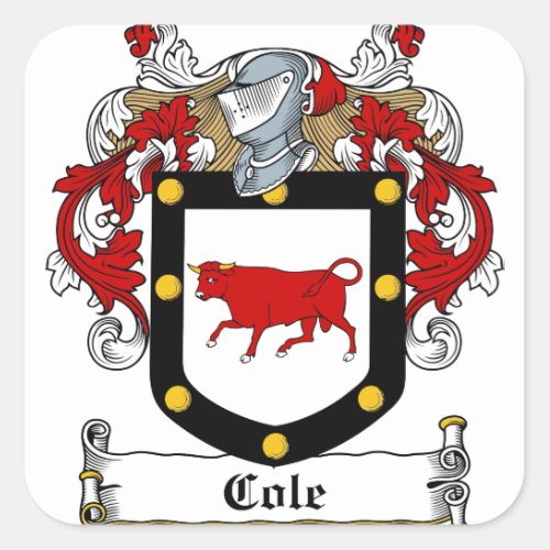 Cole_Irish_Crest Square Sticker