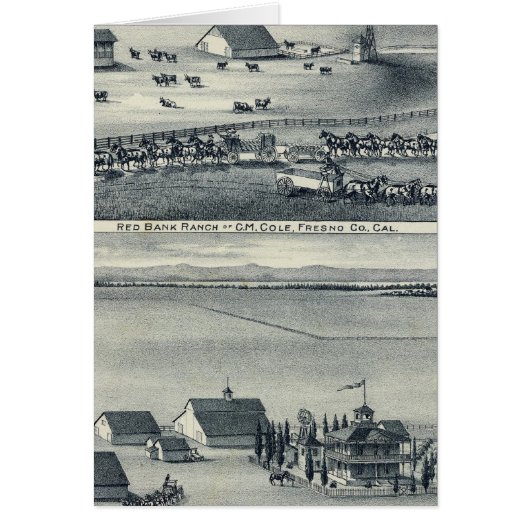 Cole Ranches Cards (Front)