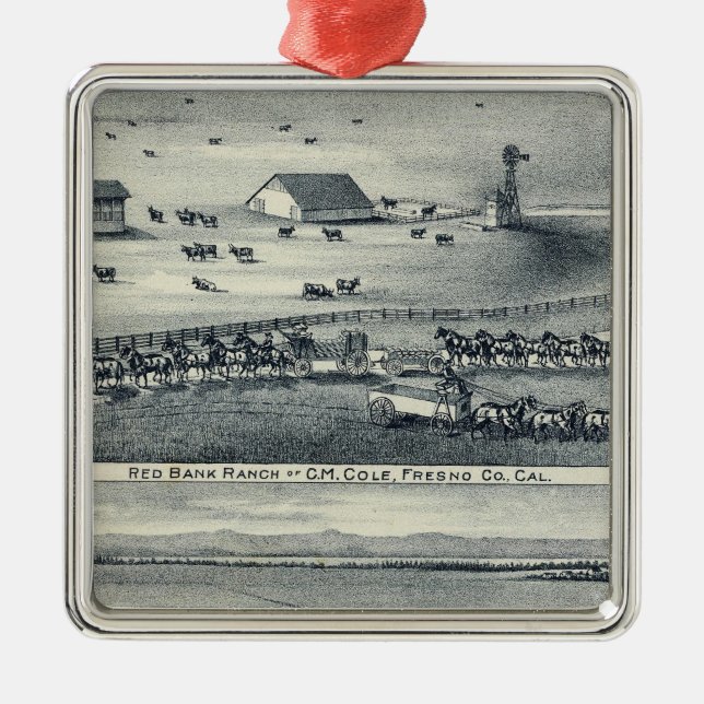 Cole Ranches Metal Ornament (Front)