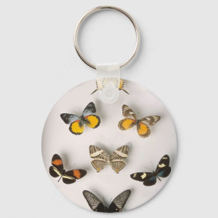 Colection-of-butterflies, keychain