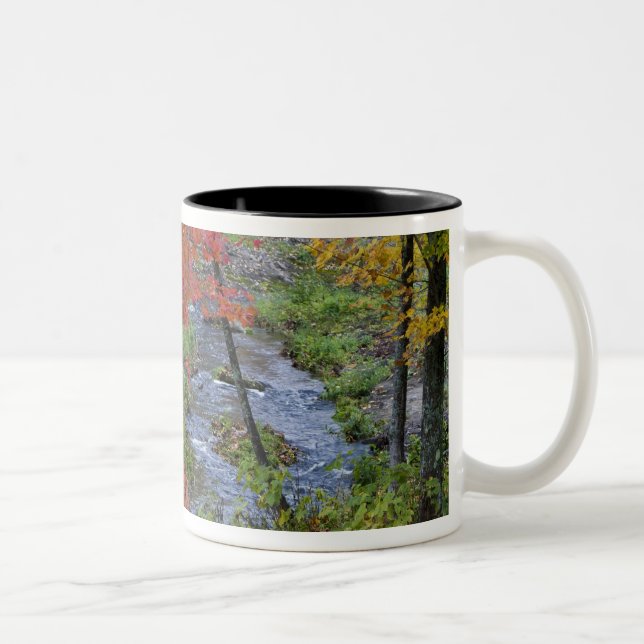 Coles Creek lined with autumn maple trees near Two-Tone Coffee Mug (Right)