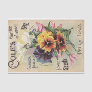 Cole's Garden Annual 1897 Flowers Vintage Catalog Tissue Paper