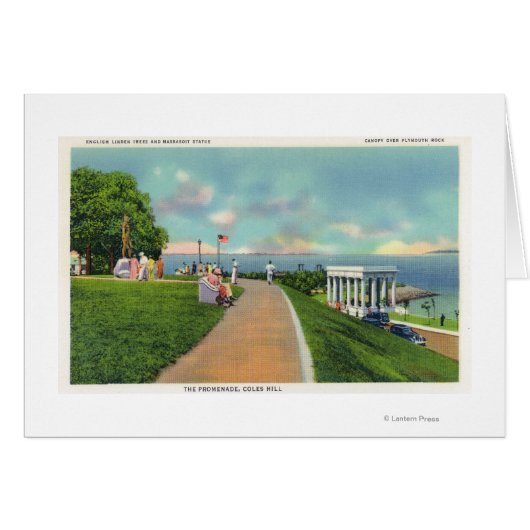 Coles Hill View of the Promenade Cards (Front Horizontal)