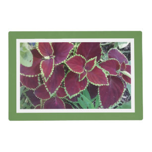 Coleus/Gerbera Daisy Placemat