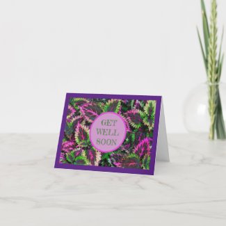 COLEUS LEAVES /GET WELL SOON/  CUSTOMIZABLE