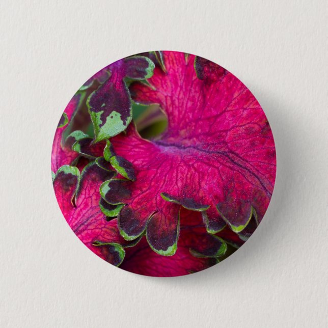 Coleus Macro Button (Front)