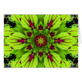 Coleus Plant Mandala (Front Horizontal)