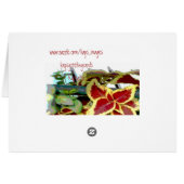 Coleus Plants Cards (Back Horizontal)