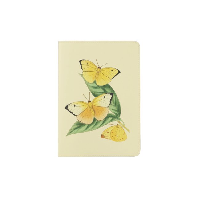 Colias Statira Butterfly Passport Holder (Front)