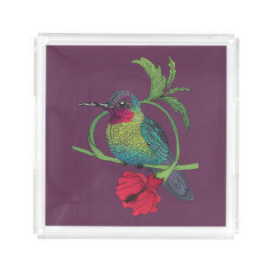 Colibri Bird Illustration Acrylic Tray
