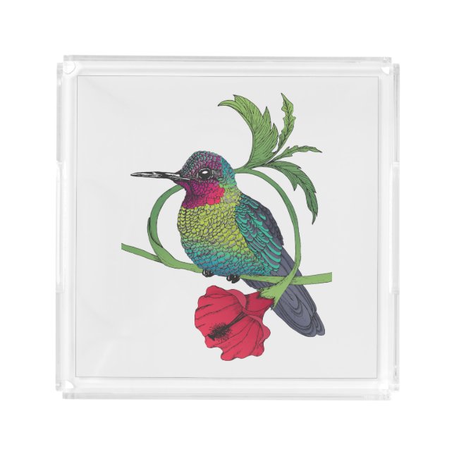 Colibri Bird Illustration Acrylic Tray (Front)