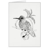 Colibri Bird Illustration Card (Front)