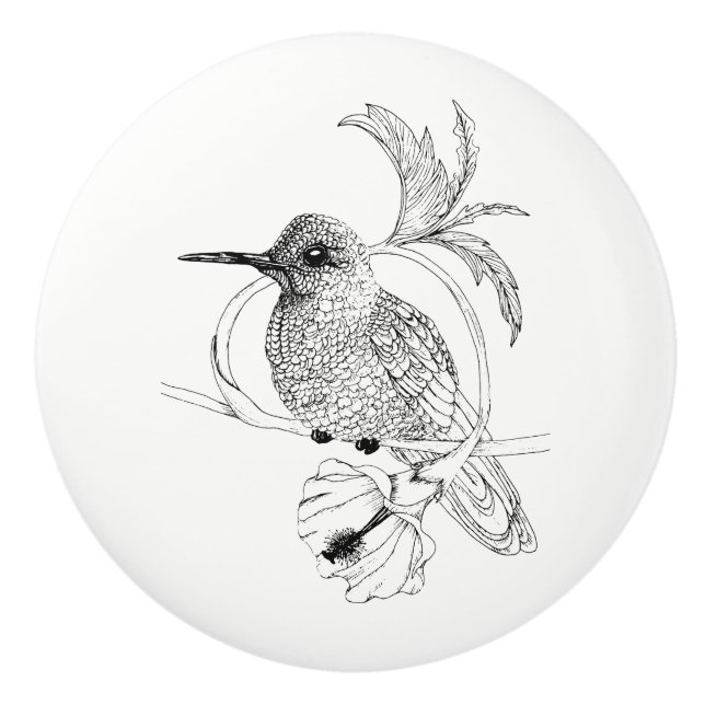 Colibri Bird Illustration Ceramic Knob (Front)