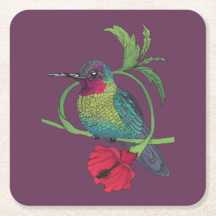 Colibri Bird Illustration Coasters