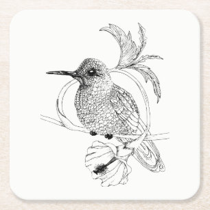 Colibri Bird Illustration Coasters