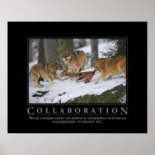 Collaboration Demotivational Poster