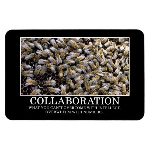 Collaboration Improves Your Chance of Success Magnet
