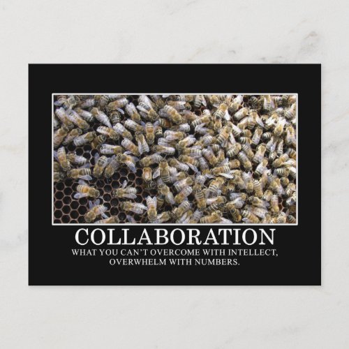 Collaboration Improves Your Chance of Success Postcard
