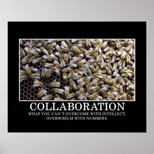 Collaboration Improves Your Chance of Success S Poster