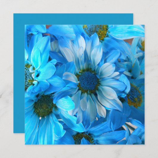 Collaert (Front/Back)