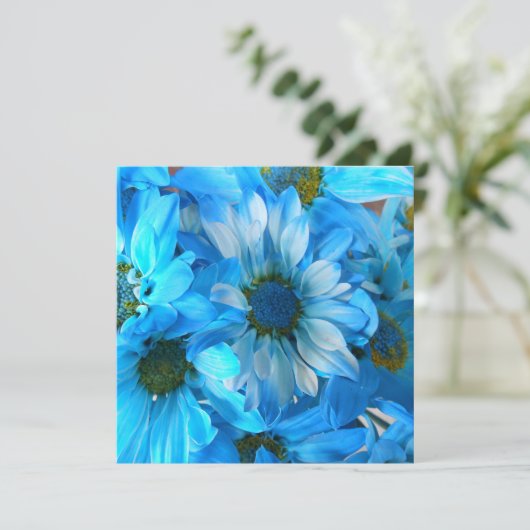 Collaert (Standing Front)