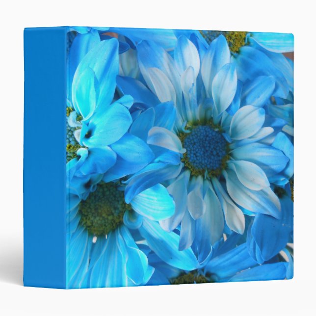 Collaert Binder (Front/Spine)