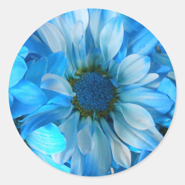 Collaert Classic Round Sticker (Front)