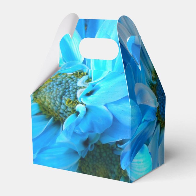 Collaert Favor Boxes (Back Side)