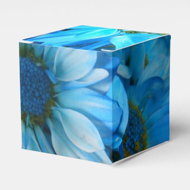 Collaert Favor Boxes (Front Side)
