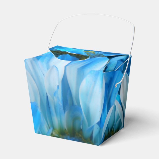 Collaert Favor Boxes (Front Side)