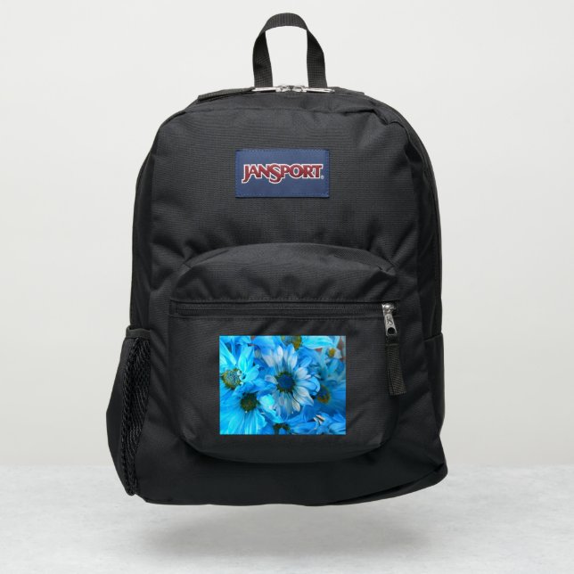 Collaert JanSport Backpack (Front)