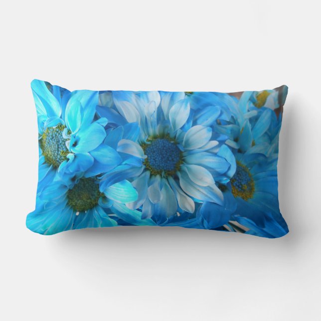 Collaert Lumbar Pillow (Front)