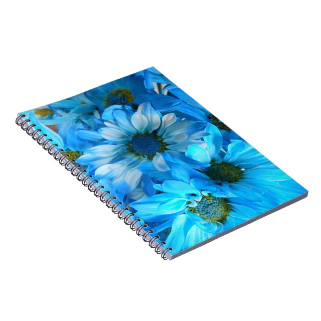Collaert Notebook (Right Side)