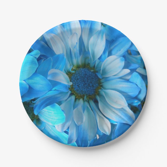 Collaert Paper Plates (Front)