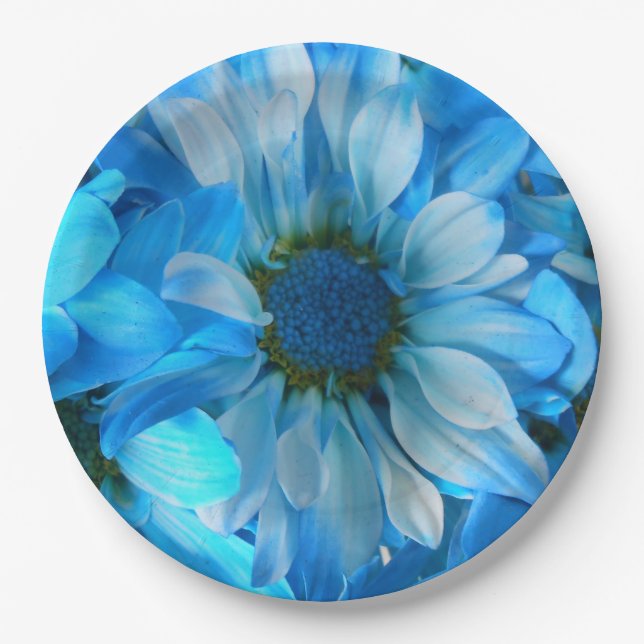 Collaert Paper Plates (Front)