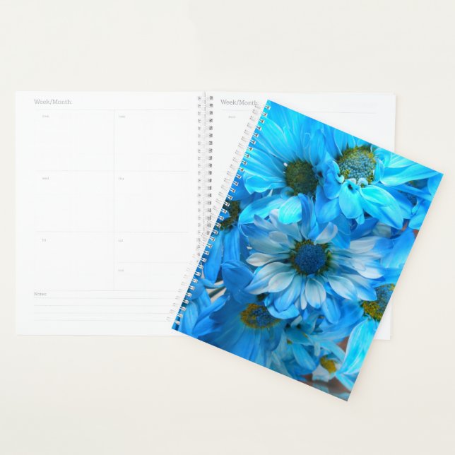 Collaert Planner (Display)