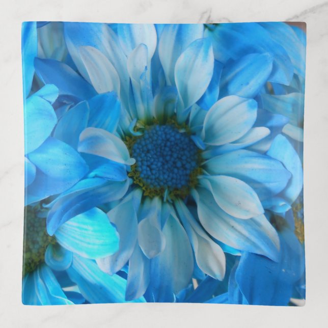 Collaert Trinket Tray (Front)