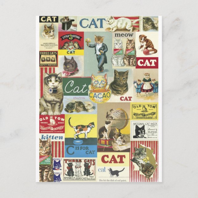 Collage chats vintage postcard (Front)