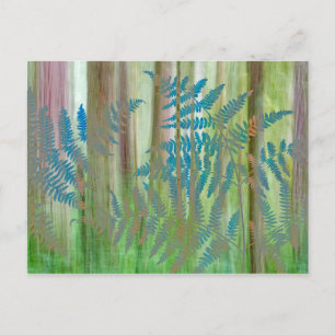 Collage of Bracken Ferns and Forest   Seabeck, WA Postcard