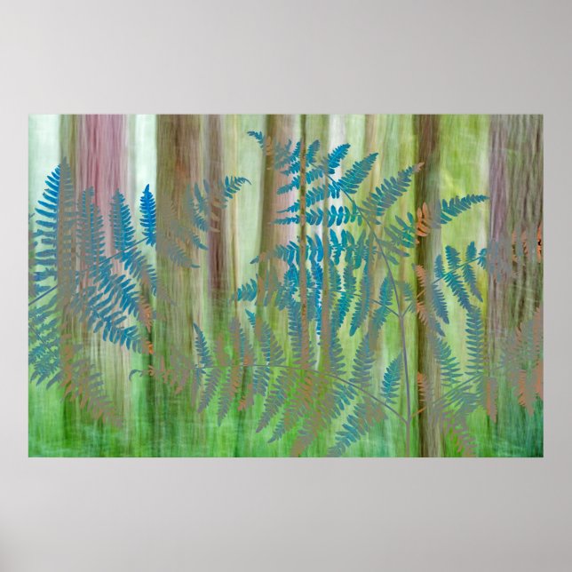 Collage of Bracken Ferns and Forest | Seabeck, WA Poster (Front)