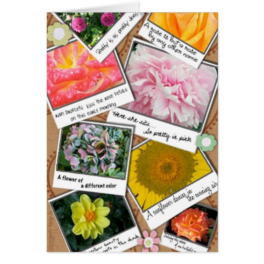 Collage of Flowers Cards (Front)