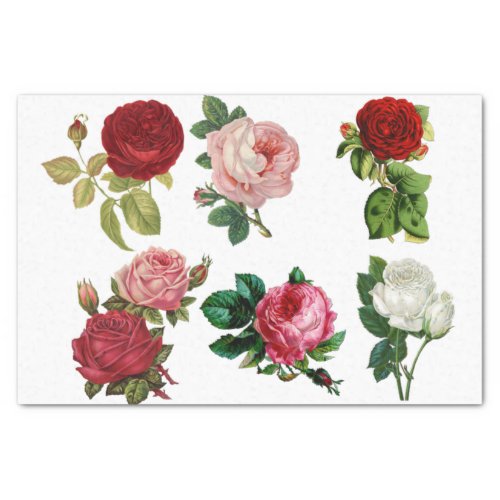 Collage of Roses Tissue Paper