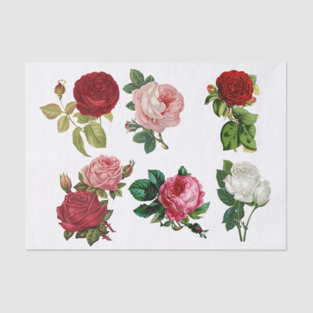 Collage of Roses Tissue Paper (Front)
