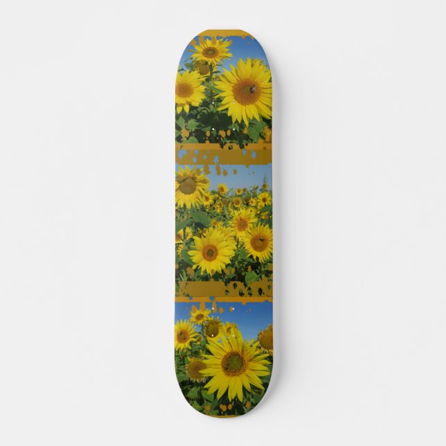 collage of sunflower in blue sky summer skatboard skateboard deck (Front)